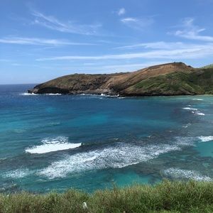 Meet your Posher, Ava